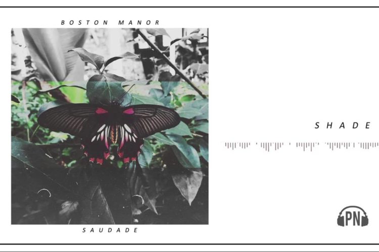 Boston Manor "Shade"